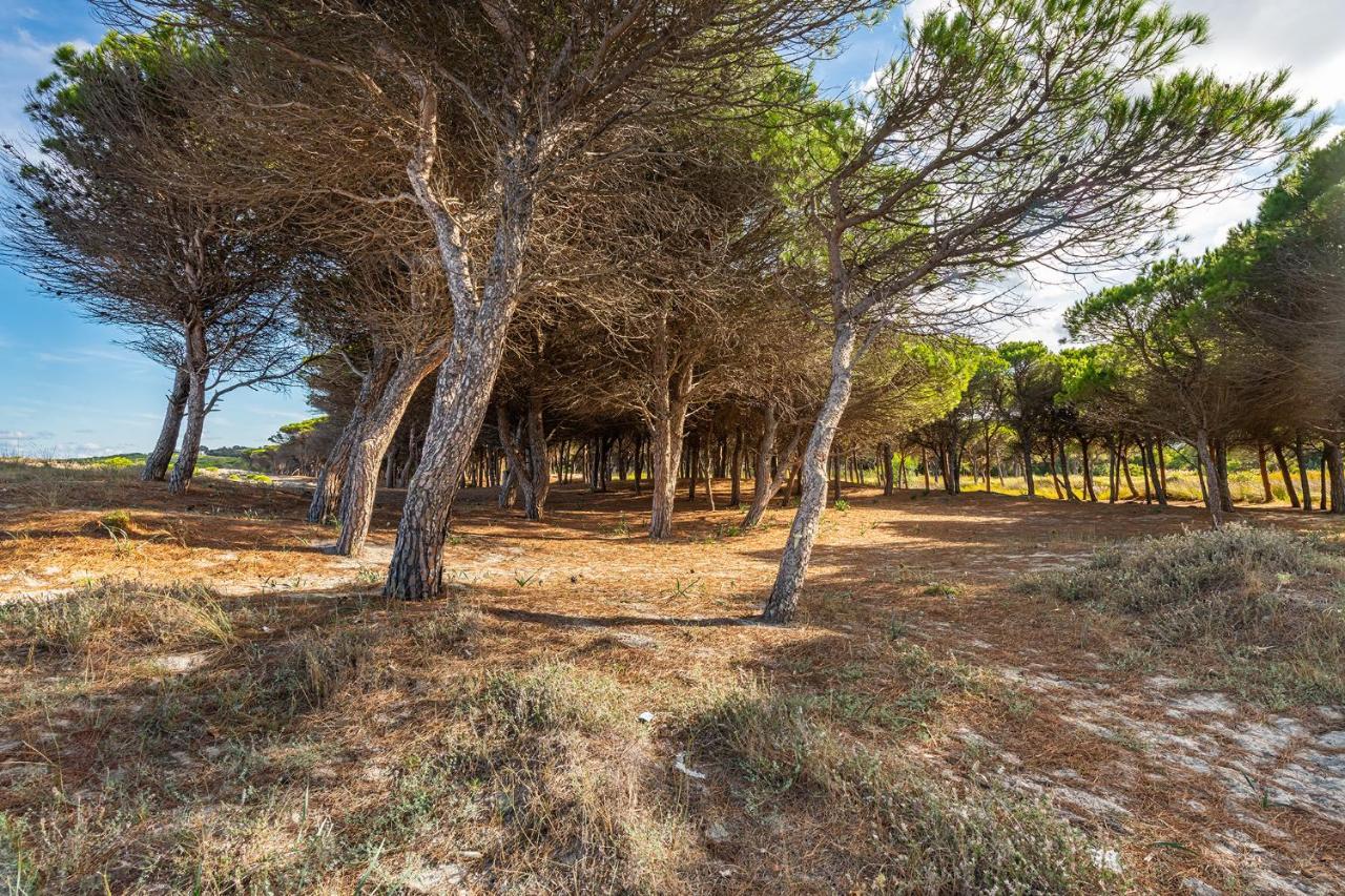 Affittasardegna-Case Pompia Siniscola Exterior foto